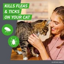 FRONTLINE Plus Flea and Tick Treatment for Cats Over 1.5 lbs – 6 Treatments